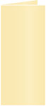 Caramel Landscape Card 4 x 9 - 25/Pk