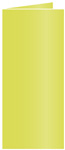 Lime Landscape Card 4 x 9 - 25/Pk