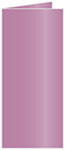 Punch Landscape Card 4 x 9 - 25/Pk