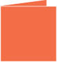 Electric Orange Landscape Card 5 3/4 x 5 3/4 - 25/Pk