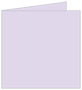 Lily Landscape Card 5 3/4 x 5 3/4 - 25/Pk