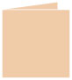 Latte Landscape Card 5 3/4 x 5 3/4 - 25/Pk