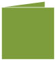 Iguana Landscape Card 5 3/4 x 5 3/4 - 25/Pk