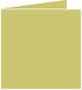 Tropical Green Landscape Card 5 3/4 x 5 3/4 - 25/Pk