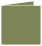 Cactus Landscape Card 5 3/4 x 5 3/4 - 25/Pk