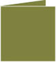 Olive Landscape Card 5 3/4 x 5 3/4 - 25/Pk