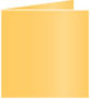 Amber Landscape Card 5 3/4 x 5 3/4 - 25/Pk