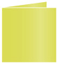 Lime Landscape Card 5 3/4 x 5 3/4 - 25/Pk