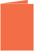 Electric Orange Landscape Card 5 x 7 - 25/Pk
