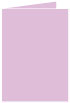 Purple Lace Landscape Card 5 x 7 - 25/Pk