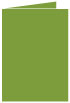 Iguana Landscape Card 5 x 7 - 25/Pk