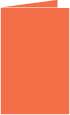 Electric Orange Landscape Card 5 1/2 x 8 1/2 - 25/Pk