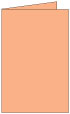 Ginger Landscape Card 5 1/2 x 8 1/2 - 25/Pk
