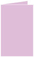 Purple Lace Landscape Card 5 1/2 x 8 1/2 - 25/Pk