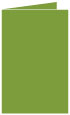 Iguana Landscape Card 5 1/2 x 8 1/2 - 25/Pk