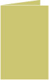 Tropical Green Landscape Card 5 1/2 x 8 1/2 - 25/Pk