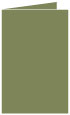 Cactus Landscape Card 5 1/2 x 8 1/2 - 25/Pk