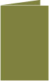 Olive Landscape Card 5 1/2 x 8 1/2 - 25/Pk