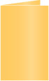 Amber Landscape Card 5 1/2 x 8 1/2 - 25/Pk