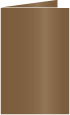 Bronze Landscape Card 5 1/2 x 8 1/2 - 25/Pk