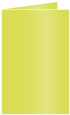 Lime Landscape Card 5 1/2 x 8 1/2 - 25/Pk
