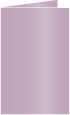 Violet Landscape Card 5 1/2 x 8 1/2 - 25/Pk