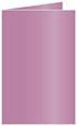 Punch Landscape Card 5 1/2 x 8 1/2 - 25/Pk