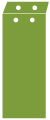 Iguana Layer Invitation Cover (3 7/8 x 9 1/4) - 25/Pk