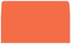 Electric Orange #10 Envelope Liner (for #10 envelopes) - 25/Pk