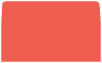 Coral #10 Envelope Liner (for #10 envelopes) - 25/Pk
