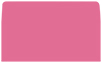 Peony #10 Envelope Liner (for #10 envelopes) - 25/Pk