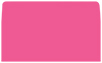 Raspberry #10 Envelope Liner (for #10 envelopes) - 25/Pk