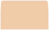 Latte #10 Envelope Liner (for #10 envelopes) - 25/Pk