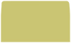 Tropical Green #10 Envelope Liner (for #10 envelopes) - 25/Pk