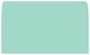Tiffany Blue #10 Envelope Liner (for #10 envelopes) - 25/Pk