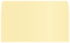 Caramel #10 Envelope Liner (for #10 envelopes) - 25/Pk