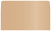Cappuccino #10 Envelope Liner (for #10 envelopes) - 25/Pk