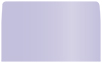 Vista #10 Envelope Liner (for #10 envelopes) - 25/Pk