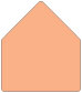 Ginger A6 Envelope Liner (for A6 envelopes) - 25/Pk