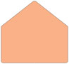 Ginger A8 Envelope Liner (for A8 envelopes) - 25/Pk
