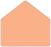 Ginger A9 Envelope Liner (for A9 envelopes) - 25/Pk