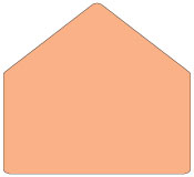 Ginger A9 Envelope Liner (for A9 envelopes) - 25/Pk