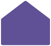 Amethyst A9 Envelope Liner (for A9 envelopes) - 25/Pk