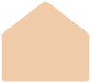 Latte A9 Envelope Liner (for A9 envelopes) - 25/Pk