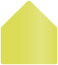 Lime 4 Bar Envelope Liner (for 4BAR envelopes) - 25/Pk