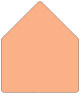 Ginger Outer #7 Envelope Liner (for Outer #7 envelopes) - 25/Pk