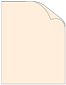 Old Lace Matte Cover 8 1/2 x 11 - 25/Pk