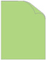 Pistachio Matte Cover 8 1/2 x 11 - 25/Pk