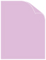 Purple Lace Matte Cover 8 1/2 x 11 - 25/Pk