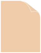Latte Matte Cover 8 1/2 x 11 - 25/Pk